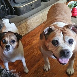 Meet your Posher, Candice